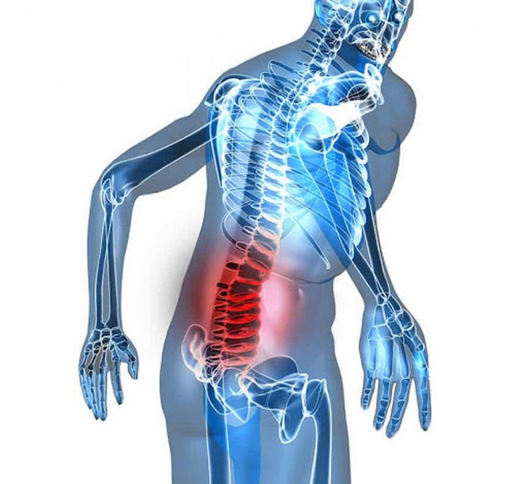 Vận động thể thao giúp phòng chống đau lưng.