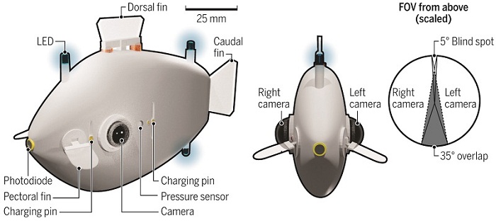 Cá robot thám hiểm dưới nước- phát minh mới ấn tượng của khoa học