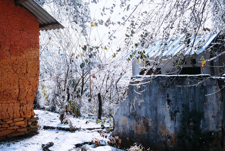 Tuyết đã làm cho cảnh vật ở làng trở nên vô cùng lãng mạn